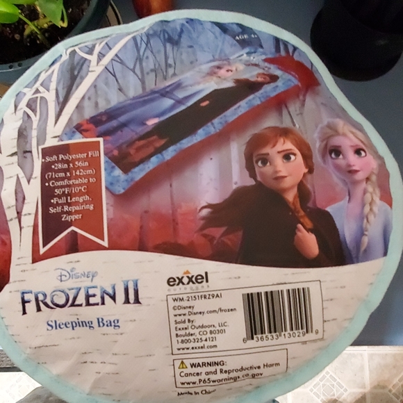 disney frozen 2 sleeping bag